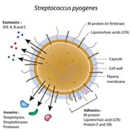 Rheumatic fever